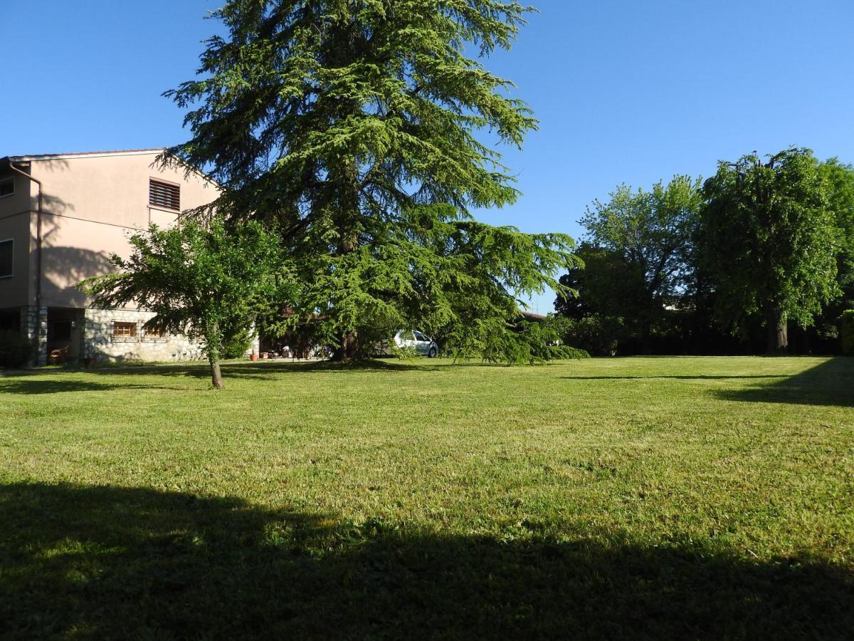 Villa Venezia Torre di Mosto Экстерьер фото